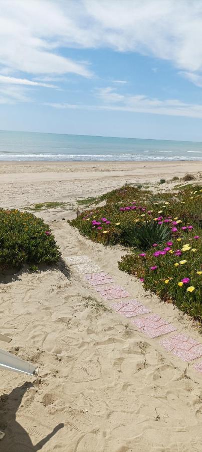 Casa Roberto Beach Torvaianica Luaran gambar